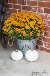 Create Fall Front Porch Envy with these tips and tricks to help you transition into Fall.| Fall Decorating Ideas | Decorating on a budget #Falldecorideas #Fallfrontporch