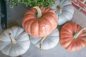 Happy Fall Y'all! Theres no better way to get those pumpkin spice feels than a beautifully decorated fall front porch! See how I decorated our front porch in a way that will carry me through the holidays!